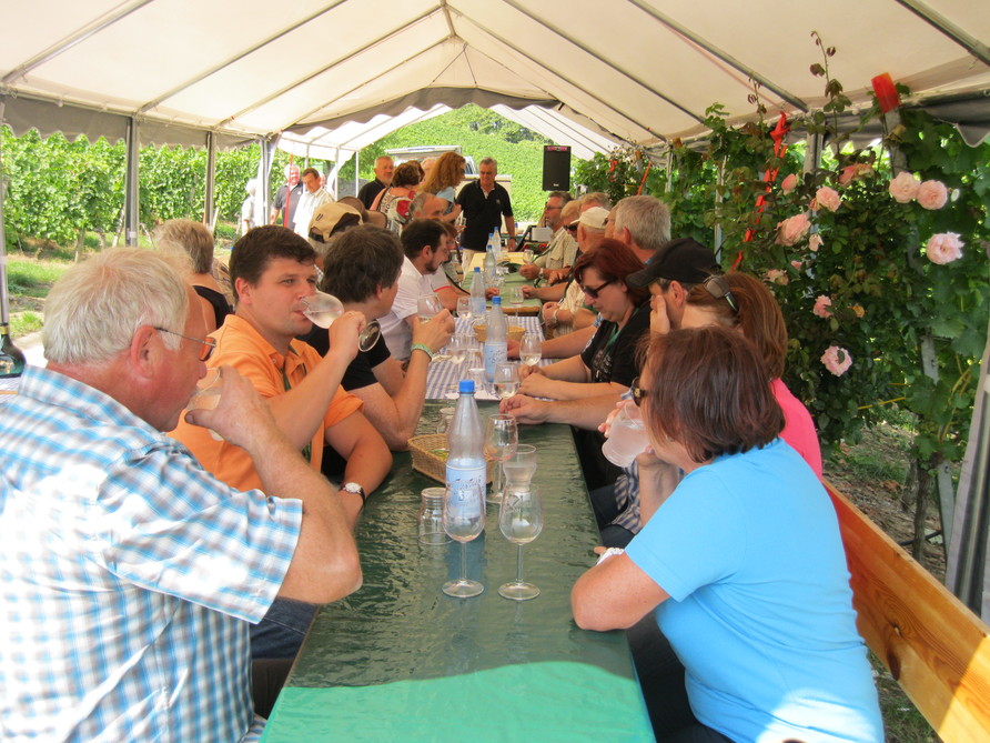 Ausflug (2013)