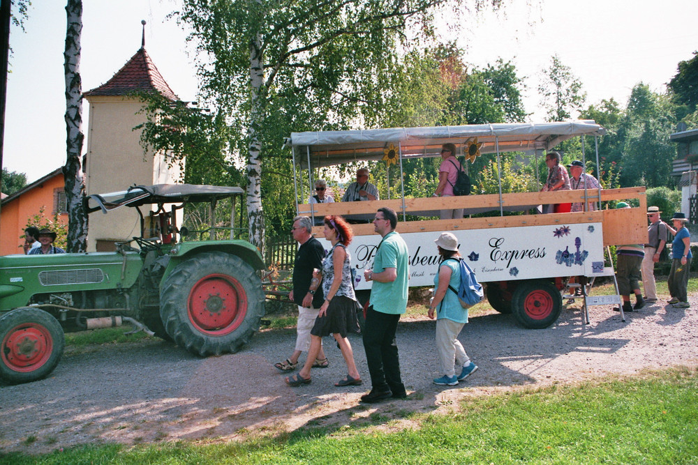 Ausflug (2013)