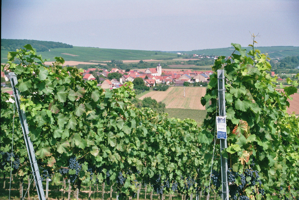 Ausflug (2013)