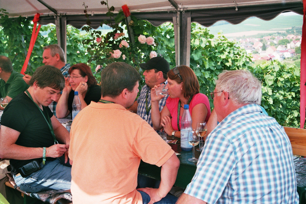 Ausflug (2013)